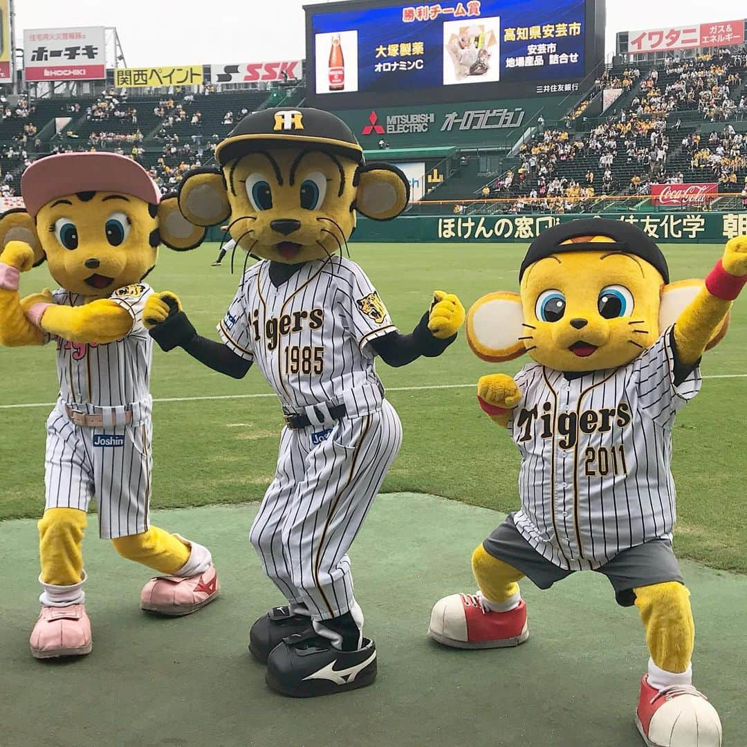 阪神タイガースさんのインスタグラム写真 - (阪神タイガースInstagram)「今日からウル虎の夏2019が開催されます‼️ 観戦に来られる方は是非、ウル虎ジャージを着て、皆さんのガッツポーズ写真を投稿してください！ #ウル虎ガッツ で投稿頂くと球場ビジョンやHPに載ったり、抽選で素敵なプレゼントもご用意🎁投稿お待ちしております！ #トラッキー #ラッキー #キー太 #みんなでガッツポーズ #ウル虎ガッツ #阪神タイガース 皆さんのガッツ写真お待ちしております 😄」7月23日 11時16分 - hanshintigers_official