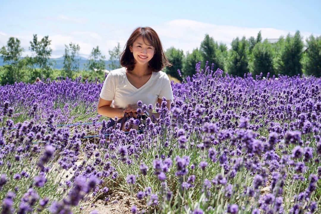 札幌テレビ「どさんこワイド朝」さんのインスタグラム写真 - (札幌テレビ「どさんこワイド朝」Instagram)「. どこを見渡しても紫色！ 富良野のラベンダー畑へ遊びに行きました♪ . 気持ちのよい青空のもと、風が吹くたびにふわっと漂う甘い香りに癒されてきました😉🍃 . #北海道 #富良野 #ラベンダー #北海道旅行 #女子アナ #アナウンサー  #stv #どさんこワイド朝 #西尾優希」7月23日 12時43分 - dosanko_asa