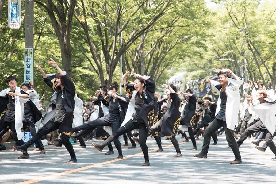 さいたまつりさんのインスタグラム写真 - (さいたまつりInstagram)「【本州で最古の「よさこい鳴子踊り」の祭典が行われる「彩夏祭」】 8月2日（金）〜4日（日）は朝霞市で彩夏祭が行われます。  この祭りの見どころは何といっても「関八州よさこいフェスタ」！ 90を超えるチームが、様々な舞台で演舞を披露します♪ 各チームがそれぞれ、振り付け、音楽、衣装の趣向を凝らしており、オリジナリティあふれる「よさこい」を楽しむことができます。  各チームがこの人ために練習してきた成果を、ぜひ会場で見届けましょう！  #さいたまつり #よさこい #踊り #yosakoi #dance #埼玉 #festival  #祭り #saitamatsuri #お祭り #写真好きな人と繋がりたい #ファインダー越しの私の世界 #お祭り写真 #お祭り写真部 #朝霞 #asaka」7月23日 12時46分 - saitamatsuri