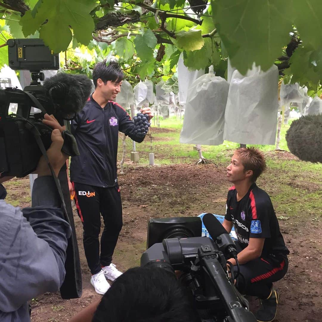 森崎浩司さんのインスタグラム写真 - (森崎浩司Instagram)「みらさかピオーネの収穫に行って来ました🍇😊今年もみらさかピオーネは色も良く、出来も良いです⤴️⤴️ ピオーネを食べて暑い中を乗り切りましょう🍇👍 #sanfrecce #みらさかピオーネ #ジャンボピオーネ #重さ3.5kg」7月23日 13時09分 - koji.morisaki77