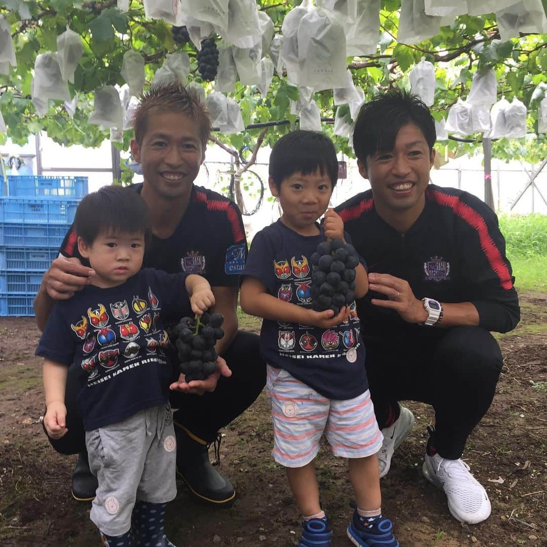 森崎浩司さんのインスタグラム写真 - (森崎浩司Instagram)「みらさかピオーネの収穫に行って来ました🍇😊今年もみらさかピオーネは色も良く、出来も良いです⤴️⤴️ ピオーネを食べて暑い中を乗り切りましょう🍇👍 #sanfrecce #みらさかピオーネ #ジャンボピオーネ #重さ3.5kg」7月23日 13時09分 - koji.morisaki77