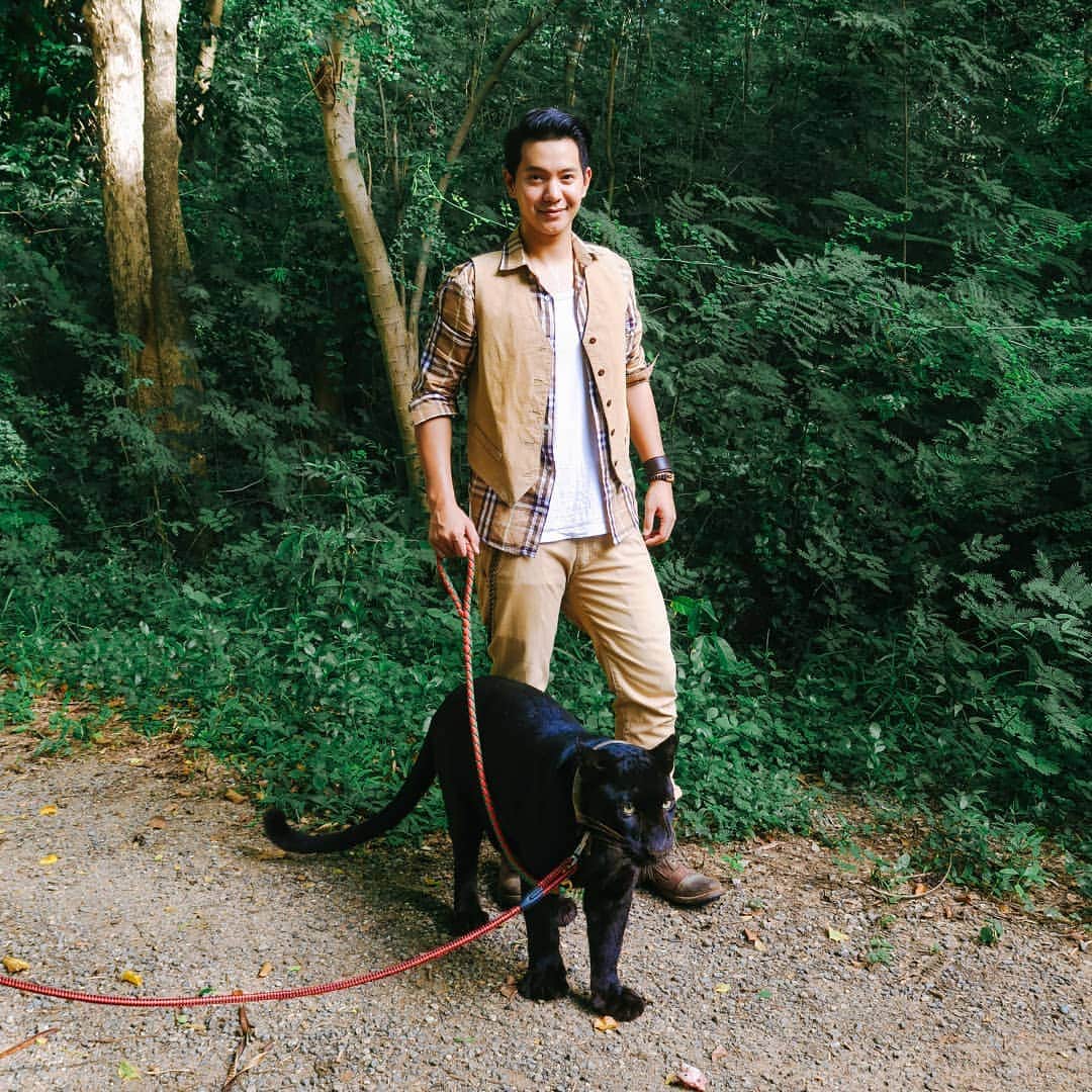 アイス・サランユーのインスタグラム：「Walking with My BigCat🐱 Please check out VDO 🔛 @icesarunyu_official #ซาฟารีปาร์คกาญจนบุรี  #เที่ยวทั่วไทยกับไอซ์ศรัณยู  https://m.facebook.com/SafariparkOpenZoo/?locale2=th_TH」