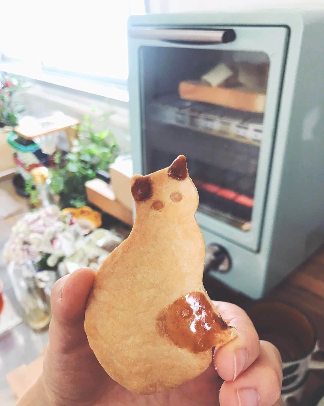 蓮沼千紘さんのインスタグラム写真 - (蓮沼千紘Instagram)「パンが焼けるのをクッキーをかじりながら待ってしまう。 ご飯の前におかし食べるなって言われて育ってきたのになぁ。  甘すぎない素朴系クッキーが好き。  #kitchen」7月23日 13時47分 - knitchihiro