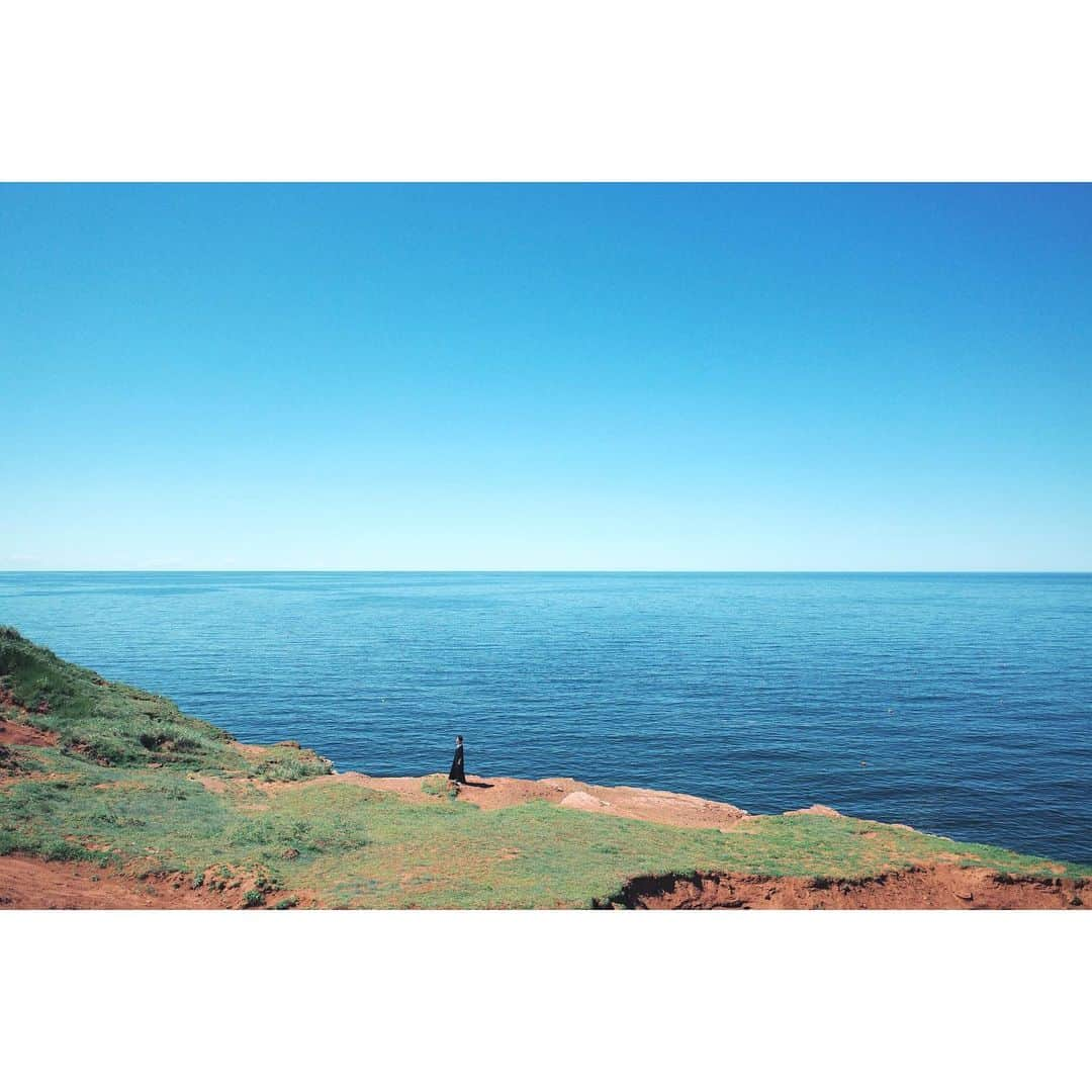 高山都さんのインスタグラム写真 - (高山都Instagram)「ああ、青い海と空が恋しい。。 カナダ、プリンスエドワード島の海の写真です。 また行きたいなぁー…。 7月15日は海の日でした。 今年は、全然梅雨空が開けずに、どんよりの日々が続きますが、ピカーンと晴れた空と海に会いたいです。 ウールマークのアンバサダーをやらせてもらっているので、先日知った、近年の深刻な問題とされているマイクロプラスチックに対しても考えさせられることがありました。 海守らなきゃ、小さい意識でも、ほんと小さなことも、持つことで変わってくることもある。 ウールは天然繊維なので、着心地良いのに、地球に優しい。 そういうことも考えながら、素材選びもしていくって大事だなーと思いました。 次のコラボのデザイン打ち合わせでも、実は生地、サスティナブルを使っています。 #Teamwool #ウールマーク #woolmark」7月23日 14時01分 - miyare38