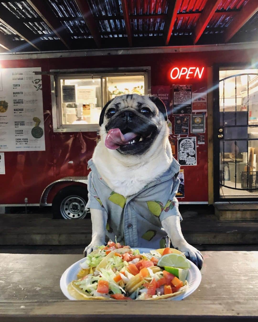 itsdougthepugさんのインスタグラム写真 - (itsdougthepugInstagram)「"If u want to make me happy, take me out for tacos" -Doug」7月24日 1時05分 - itsdougthepug