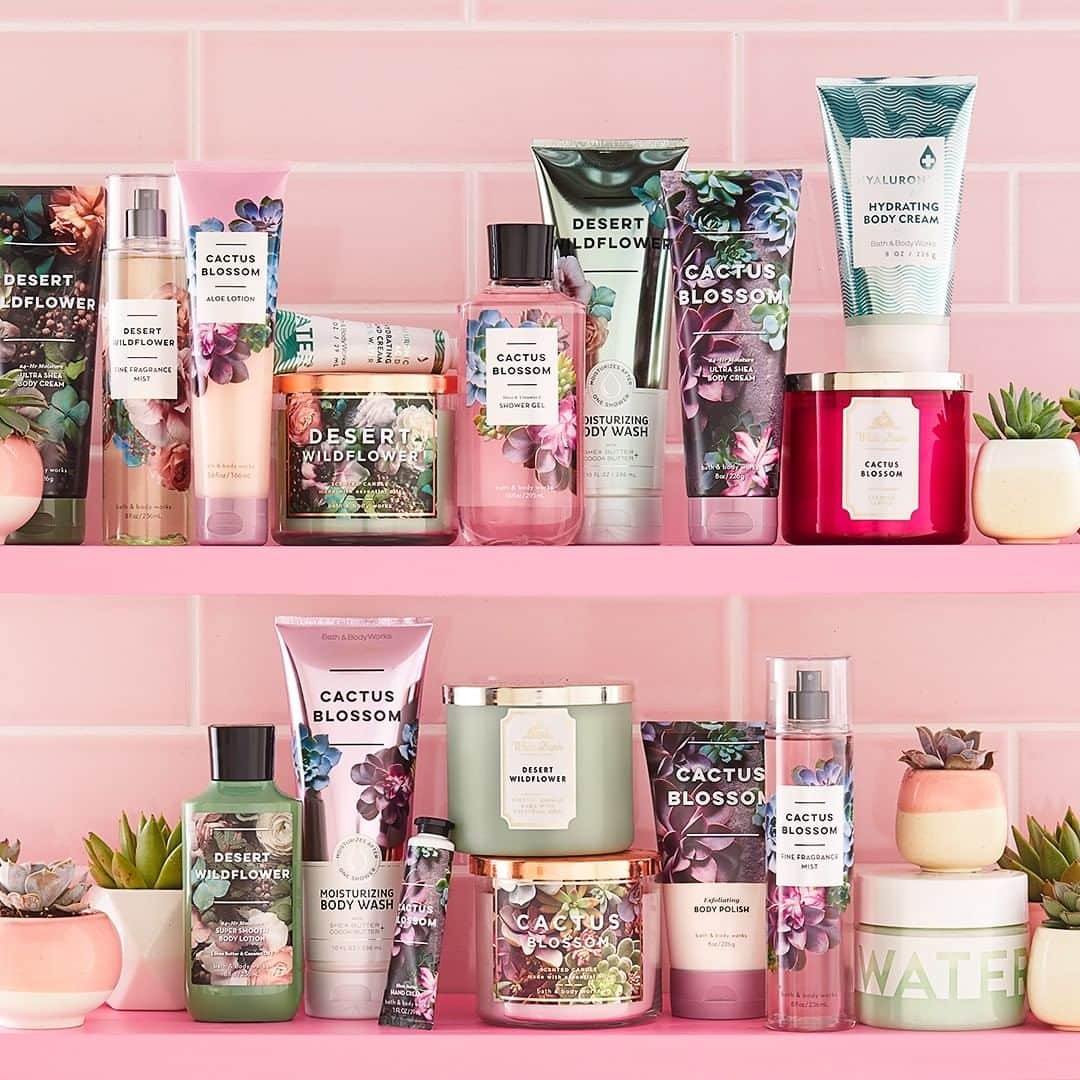 Bath & Body Worksさんのインスタグラム写真 - (Bath & Body WorksInstagram)「When you bring the succulent love to your self care routine, too 🌵💕」7月24日 0時01分 - bathandbodyworks