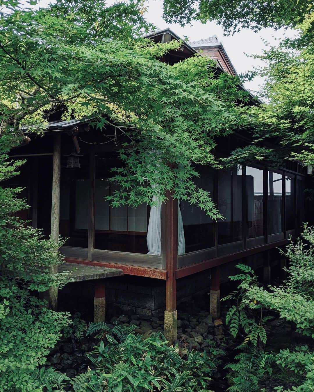 Joeさんのインスタグラム写真 - (JoeInstagram)「My first time to visit Gifu Prefecture.  ロース＆ヒレステーキを目当てに訪れた岐阜県・長良川のほとりにある「潜龍」。日本人ならではの料理法、情緒豊かなお座敷、玄関を入った瞬間から始まる中居さんのおもてなし、食事もそうだが、約130年前に建てられた貴重な歴史ある空間でゆったりと味わえる贅沢なひととき。シメの梅肉と青紫蘇をブレンドしたガーリックライスも美味しゅうございました。 #潜龍 #岐阜県 #鵜飼」7月23日 16時26分 - joe_tokyodandy