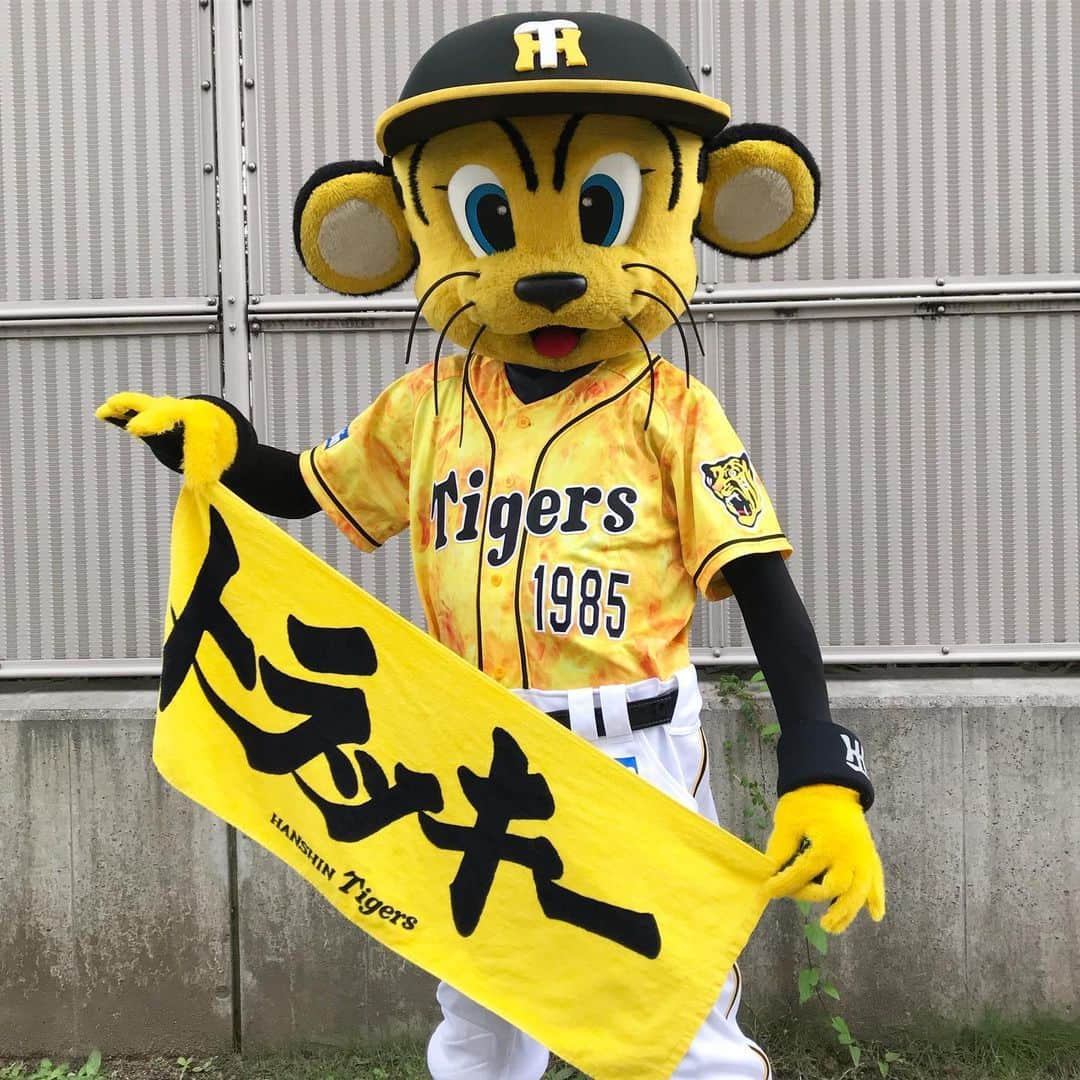 阪神タイガースのインスタグラム