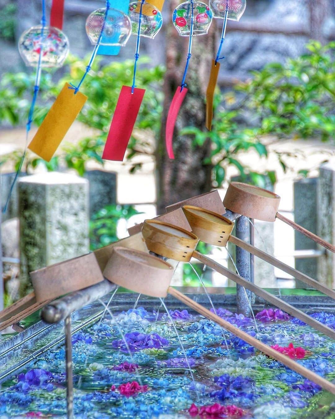 aumoさんのインスタグラム写真 - (aumoInstagram)「【#梅雨明け間近 ×#夏のはじまり 】 . 福岡県の「#春日神社」にて撮影されたお写真📸 . 鮮やかな紫陽花の上に吊るされている風鈴🎐 チリンチリ〜ンという音が聴こえてきそうですね🎶 夏はきっともうすぐそこ☀️🌻 . Credit：@ke._.ta1101 さん 素敵なお写真をありがとうございます！ . あなたが撮影した素敵な写真に 「#aumo」を付けて教えてください♡ あなたの投稿が明日紹介されるかも♪ . aumoアプリは毎日配信！おでかけや最新グルメなどaumo読者が気になる情報が満載♡ ダウンロードはプロフィールのURLから✔︎ (iPhone&Android版) . . #九州#九州観光#九州旅行#神社巡り #インスタ映え #インスタ探検隊 #女子旅#絶景#絶景スポット #旅 #team_jp_ #igersjp #japan_daytime_view #wu_japan  #bestjapanpics #japan_of_insta #art_of_japan_ #ptk_japan #photo_jpn #lovers_nippon #tokyocameraclub #あなたとみたい景色#フォトジェニック #国内旅行 #夏旅」7月23日 17時26分 - aumo.jp