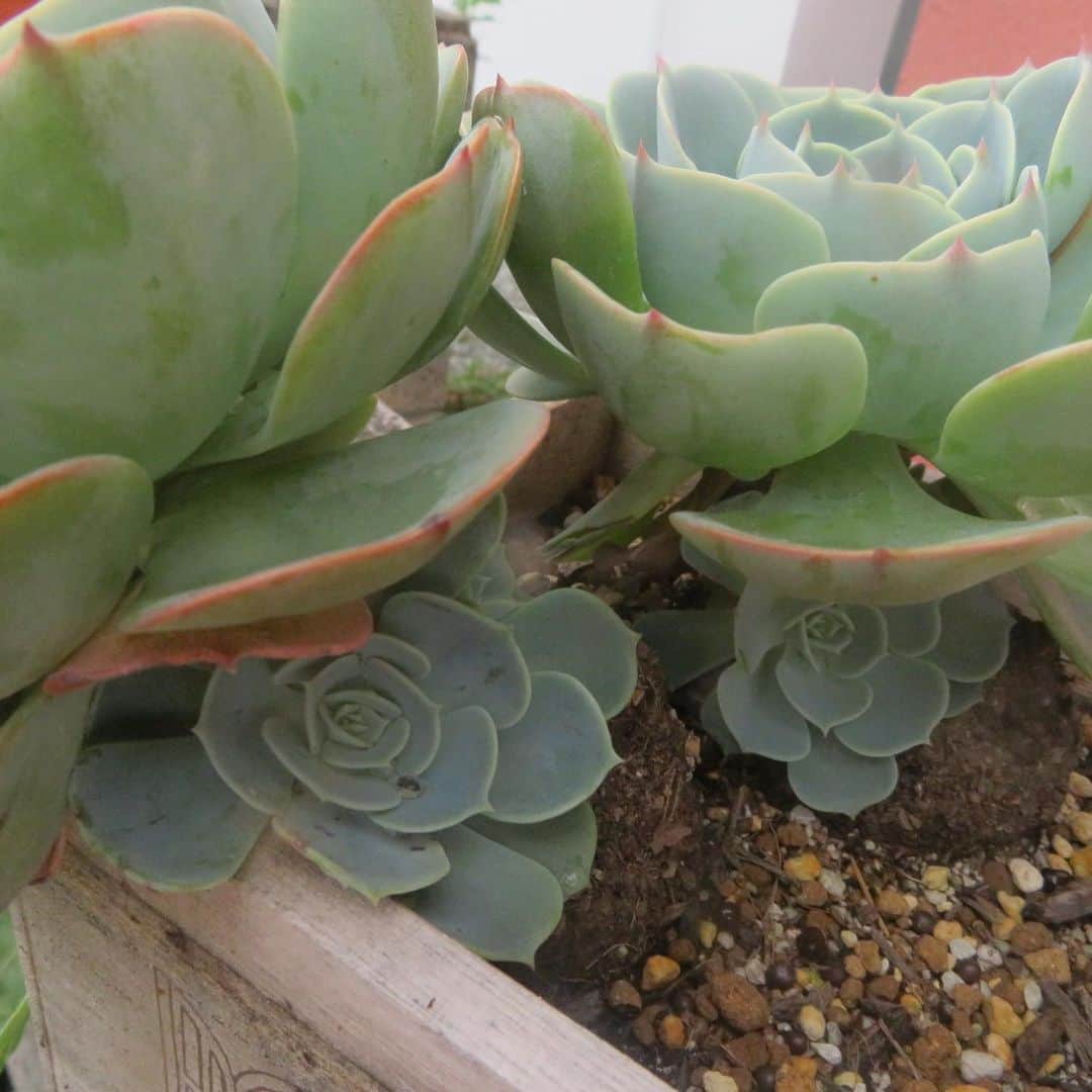 魔女菅原のグルメインスタ