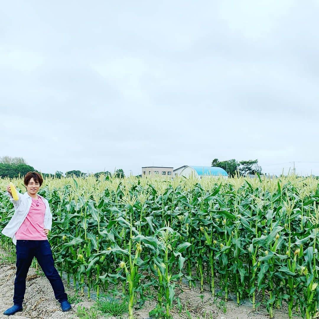 杉浦太陽さんのインスタグラム写真 - (杉浦太陽Instagram)「大地の恵みラッシュ！ ひまわりソフトクリーム🍦 激ウマ(^^) トウモロコシ畑！ トウモロコシ激ウマ！  #北海道 #大地の恵み #ひまわりソフトクリーム #トウモロコシ #北海道のものは美味い #ロケ終了 #では東京へ #ありがとう北海道」7月23日 17時47分 - sugiurataiyou_official