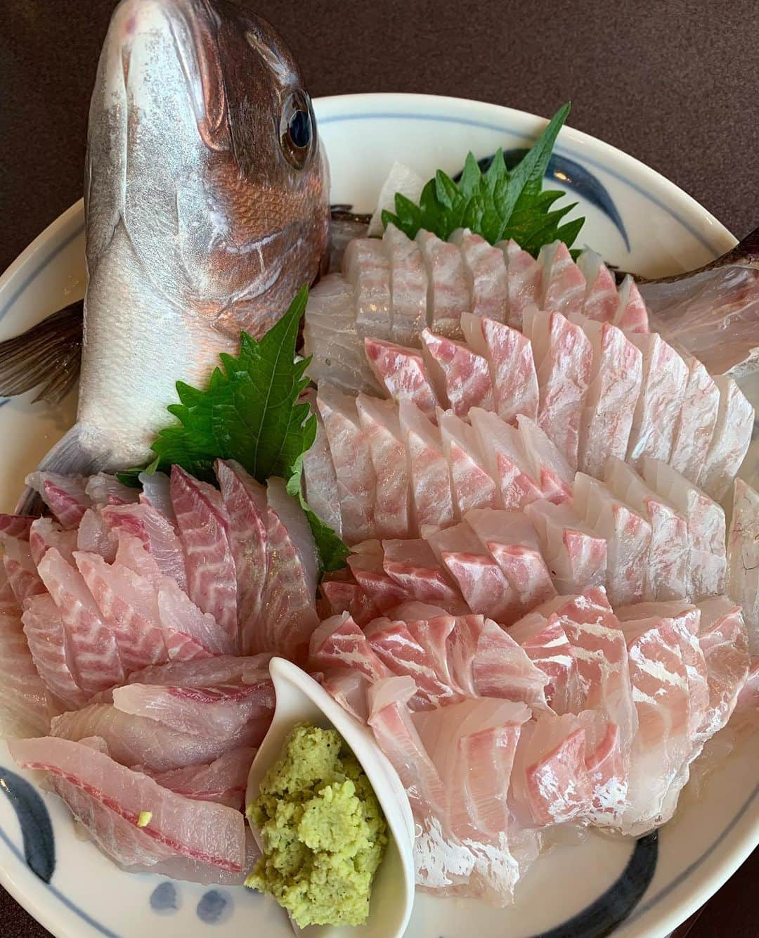 梅本静香さんのインスタグラム写真 - (梅本静香Instagram)「また釣りへ‪🎣‬笑﻿ 連れた魚は近くのお店で刺身、塩焼き、しゃぶしゃぶにしてもらいました😆﻿ 美味しかった～🤤﻿ ﻿ こないだ鯛釣って、﻿ それ以外釣りたかったからイサキが釣れて満足でした✨﻿ ﻿ ﻿ ﻿ ﻿ #actress #model #Japan #instagood #happy #instaphoto #selfie #fish #fishing #釣り #釣りガール #熱海 #鯛 #イサキ」7月23日 18時13分 - shizuka0523xx