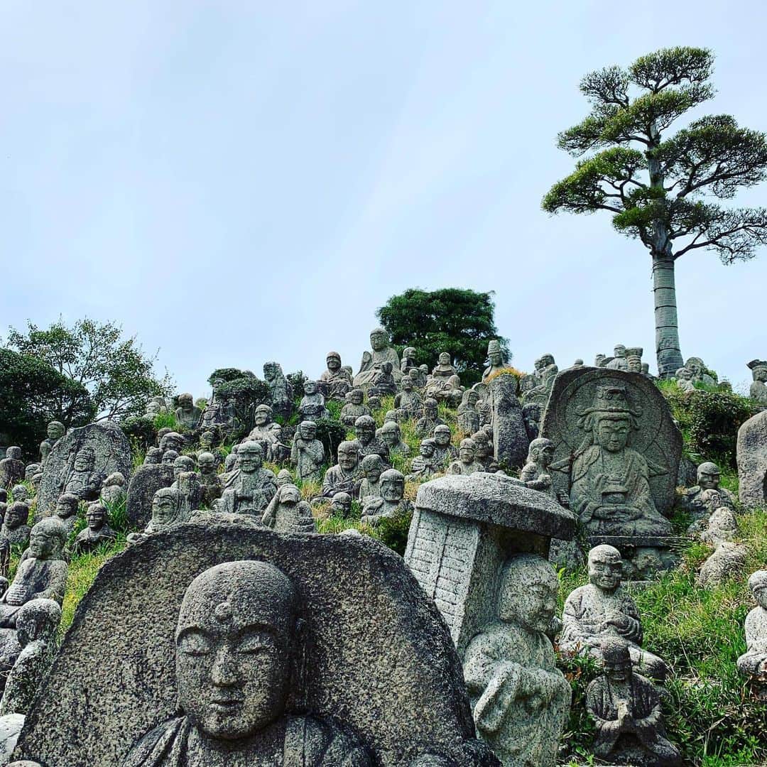 ノブ横地のインスタグラム：「菰野町の五百羅漢 こもガクでも見られます。  #こもガク#こもガク祭#いよいよ情報解禁！#こもガク塾受付中#8/20〜9/29」
