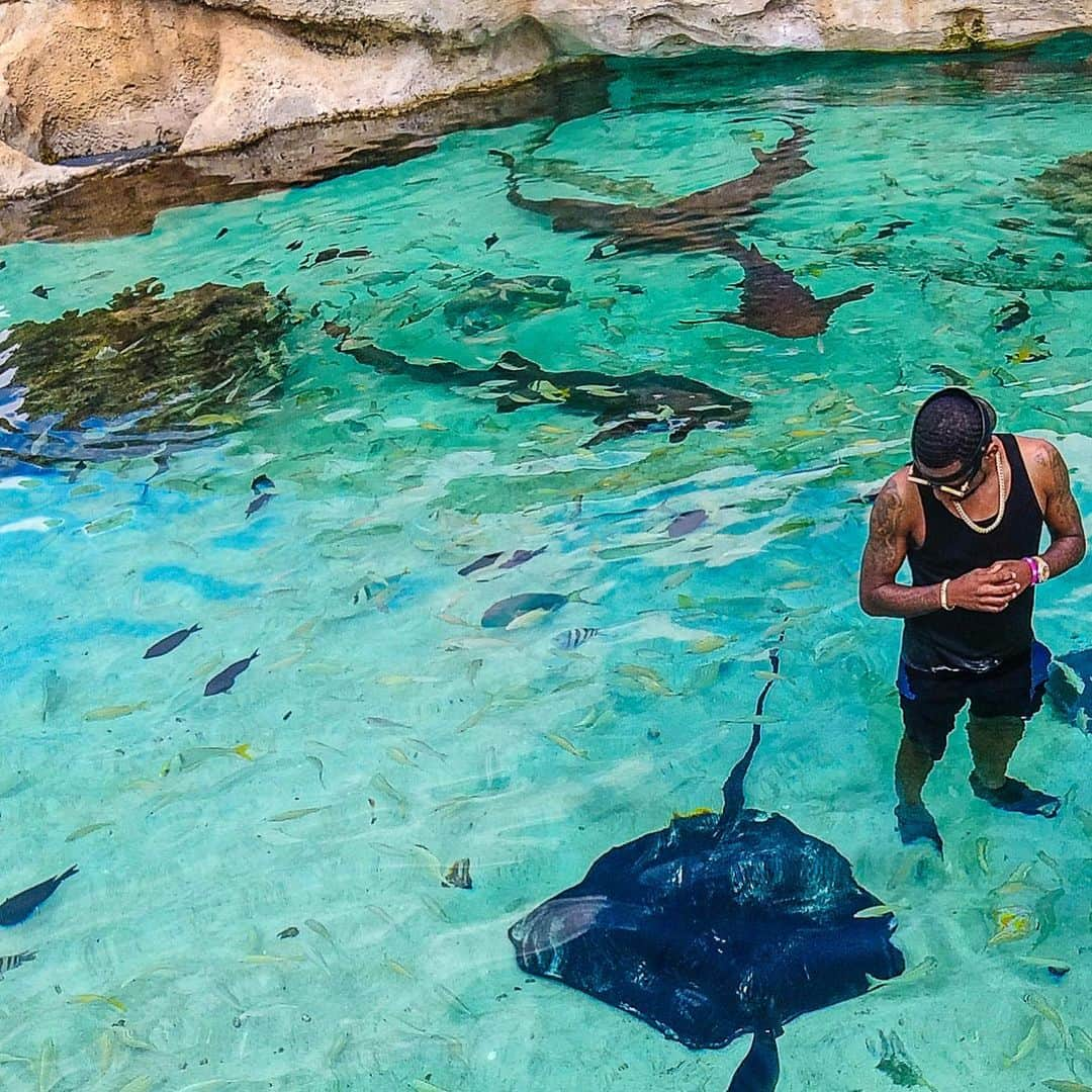 ファボラスさんのインスタグラム写真 - (ファボラスInstagram)「When people don’t move like you do, your ambition can sound like arrogance! 😎🌴🇧🇸 [shot by @directorgerardvictor]  #Bahamas」7月23日 18時55分 - myfabolouslife