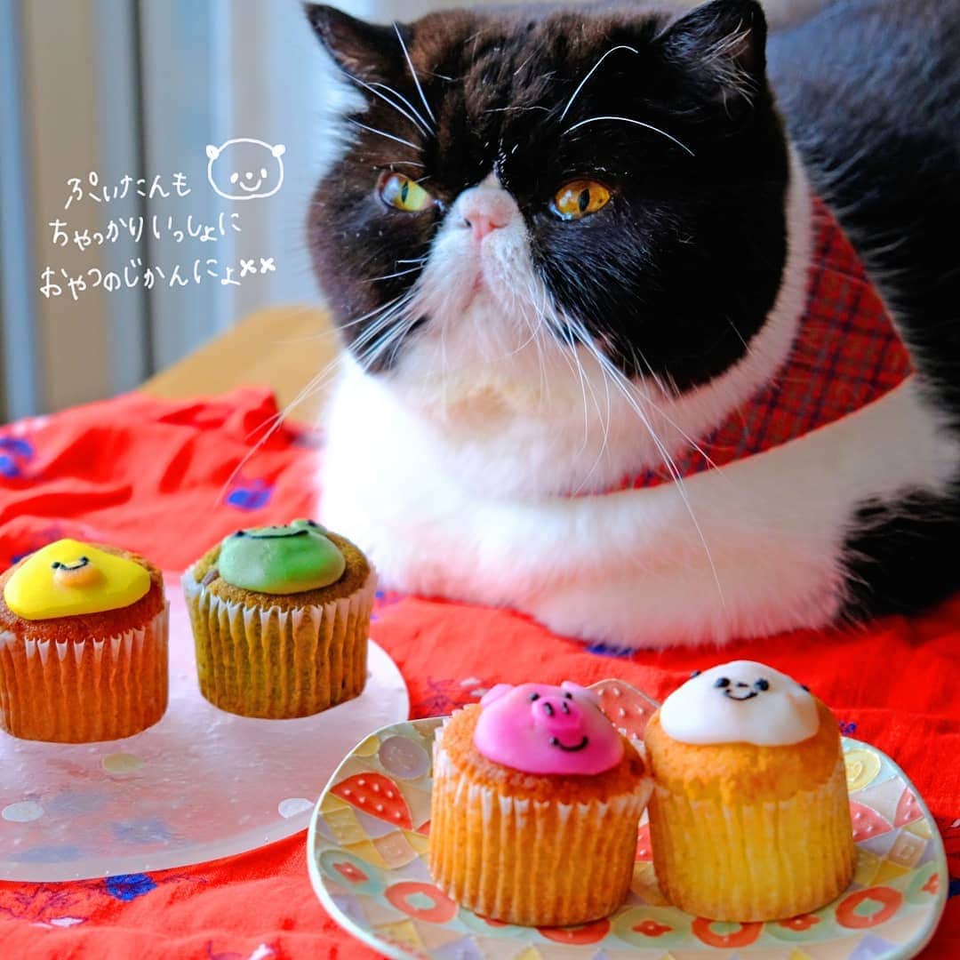 なっつ。のグルメインスタ