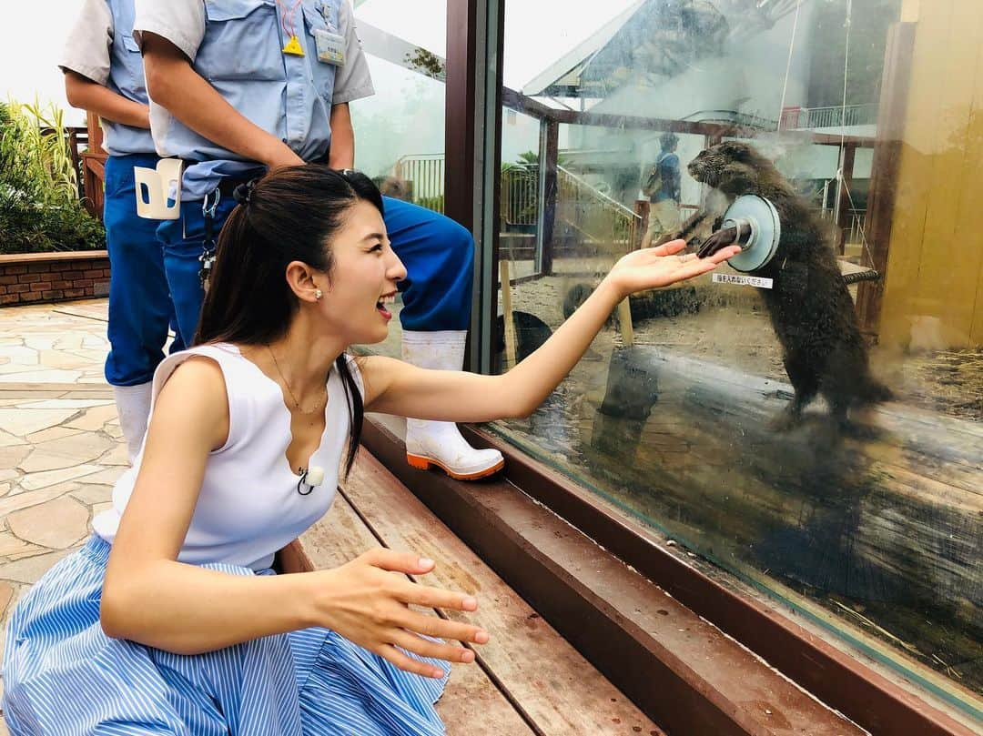 松井絵里奈さんのインスタグラム写真 - (松井絵里奈Instagram)「🌈 2019.07.24 水曜日 テレビ東京or BSテレ東 9:26〜11:13 「なないろ日和！」 生放送に出演させていただきます🙌🏻✨ BSテレ東だと、 時間は9:59〜10:55で 放送されます。 チェックしてみてくださいね♡  ロケでは 「横濱金澤」歴史さんぽ させていただきましたー！  ぜひ、ご覧くださいませ♡ #なないろ日和 #テレビ東京 #BSテレ東 #神奈川県 #横濱金澤 #魅力いっぱい #触れ合い #ロケ #松井絵里奈」7月23日 19時26分 - erina74xx