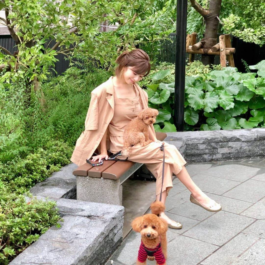 水野佐彩さんのインスタグラム写真 - (水野佐彩Instagram)「・ 🐶今日はパンケーキじゃないの？💕 👩🏽最近カレーブームなの🍛❤️ #coordinate  setup#amail @amail_official  shoes#viviennewestwood  @viviennewestwoodjapan  #sサイズコーデ #153cmコーデ #おちびコーデ #おちびの輪 #セットアップ #montalk #モントーク #犬と行けるカフェ #おもちとおはぎ #休日ランチ #ランチデート #お散歩デート」7月23日 19時29分 - saaya_mizuno