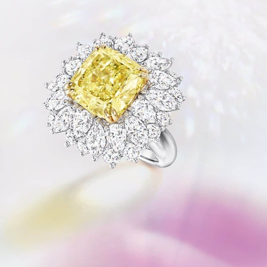 ハリー・ウィンストンさんのインスタグラム写真 - (ハリー・ウィンストンInstagram)「Sunshine spectacle. Step right up to witness a halo of 32 #diamonds outline a spectacular 8.01-carat fancy yellow cushion-cut #diamond. #HarryWinston #HighJewelry」7月23日 19時31分 - harrywinston