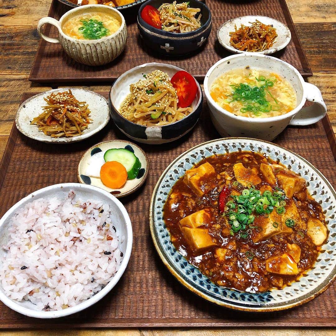 chaako ちゃあこのインスタグラム：「2019.7.23 * * 今日の晩御飯٩(๑❛ᴗ❛๑)۶ * ＊激辛麻婆豆腐 ＊もやしの中華風サラダ ＊きんぴらごぼう ＊浅漬け ＊中華スープ ＊雑穀米入りごはん * でした(๑´ڡ`๑) * 今日はいつもの激辛麻婆豆腐。 辛いです。とーっても辛いやつです。 * 2週間に一度は必ずリクエストされます。 夫は週1で食べたいくらいなんだってー( ꒪⌓꒪) * もやしの中華風サラダは、昨日作ったやつなので彩り悪しです(꒪ȏ꒪;) * * * 今朝、はなちゃんが倒れまして… 倒れて気絶状態みたいな。 * 朝ごはんを食べたがっていたので、ごはん作って食べさせて、お口周りを拭いてあげて、トイレして→お水飲んで→トイレで今度は大きい方して、自分のクッションに戻る途中に、クッションの手前で急に足がふらふらして、パタンと横に倒れて。 * 目は虚ろで、ヒュンヒュン言ってて… 私は勿論大パニック。 はなちゃん！はなちゃん！って言ったら目が普通に戻って、頭は上げたけどめっちゃ怖かったので、病院に電話して。 * まだ1時間早かったけど先生が出てくれて、病院に連れてきて下さいと。 * なので急いで用意して連れて行って。 * 私が用意してる間に普通に立ち上がって、普通にクッションに横になってはいたのですが、不安でいっぱいで病院へ。 * その頃にはもう普通のはなちゃん(笑) * 病院に着いて診察してもらって、話しをして… * 原因は不正脈。 心臓も悪いはなちゃん。 朝ごはん食べた後に、口元を拭いてあげた時に力が入って、それが不正脈に繋がった可能性が高いって… * めっちゃ嫌がるんですよね、口元拭くの。 でも拭いてあげないと汚れたまま、クッションで拭いたりするし、はなちゃん自体も汚れたままだから… * 5月に福岡の病院でも一度、気絶したんです。 トリミングに行けてなくて、その後も行けないかもしれなかったので、診察の途中で爪と足の裏の毛だけ切ってもらって。そしたらその後、また先生が診察しようとすると、急に大きな声でヒャンヒャン鳴き出して。 * え？何？！って思ったら、一種の気絶です。と。その時も爪とかを切ってもらったのが、やっぱり嫌だったのが原因で、力が入っての不正脈。 * 今日もよく考えたら、口元を拭いてあげる時にいつもより嫌がってたんですよね。軽く暴れる感じ。 * なのではなちゃんが嫌がる、口元拭いたりする時は、超絶優しく、嫌がったら一旦辞めたり。と、今以上に気をつけて、恭しく扱わなくてはいけなくなりました。 * もうね、無敵のはなちゃん(笑) 今までもお姫様扱いしてましたが、今まで以上にもっともっと優しく接したいと思います。 * もう倒れて欲しくないなー… 本当に怖いですo(TωT)o * * * #はなちゃんの病気の記録」