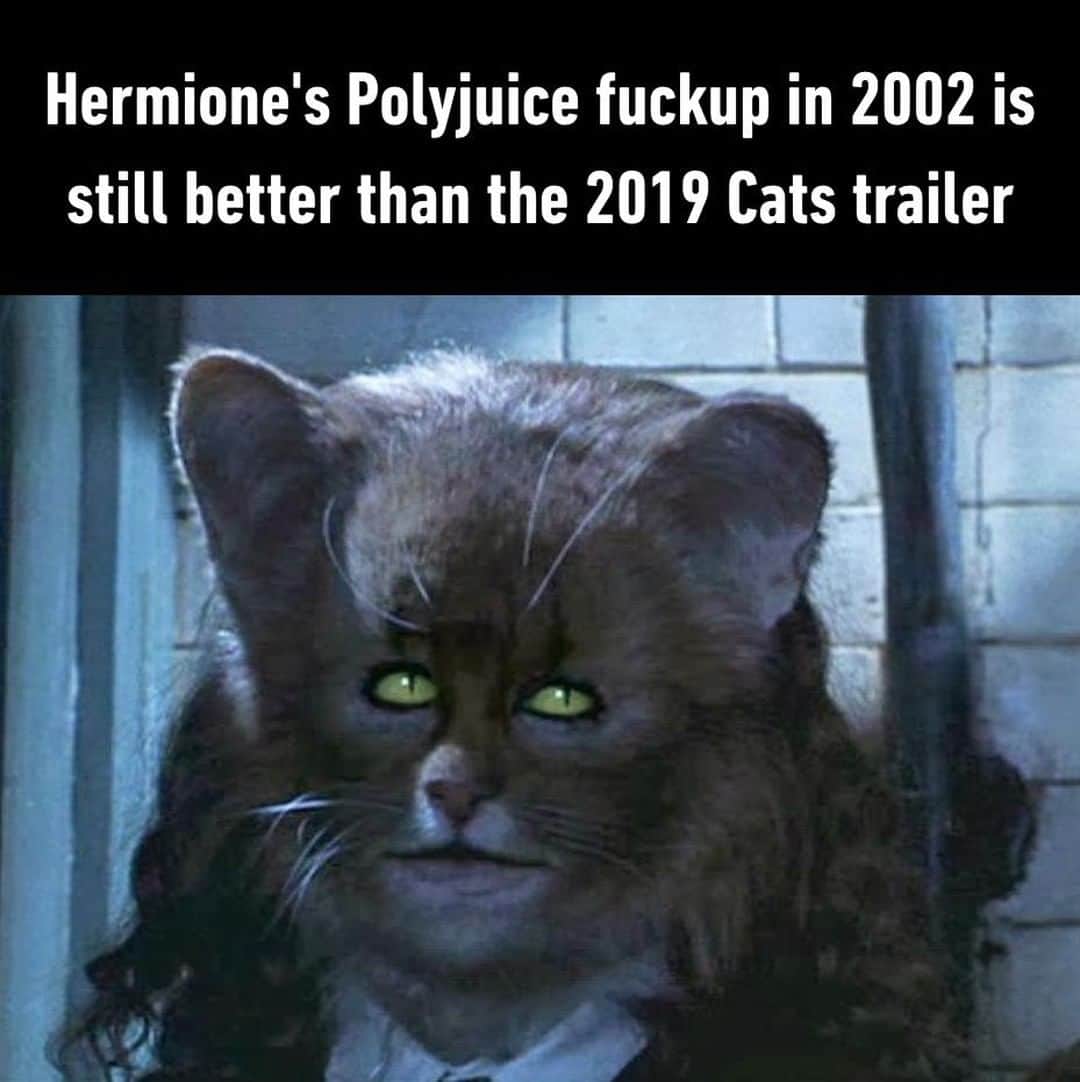 9GAGさんのインスタグラム写真 - (9GAGInstagram)「Maybe Sonic wasn't so bad after all⠀ #9gag #cats #harrypotter」7月23日 20時39分 - 9gag