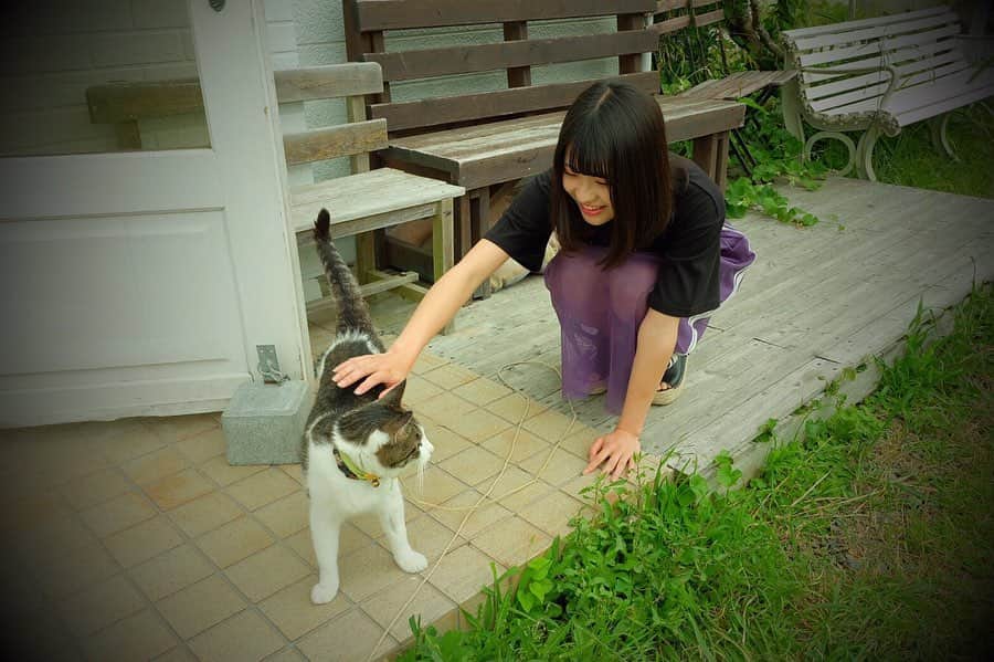 山田南実さんのインスタグラム写真 - (山田南実Instagram)「. . 撮影の時にとても可愛い猫に会いました☺︎ .  #instagram #insta #instagood #animal #cat #catstagram #japanese #me #tokyo #girl #idol #pimms #ピムス #猫」7月23日 21時39分 - 373_yamada