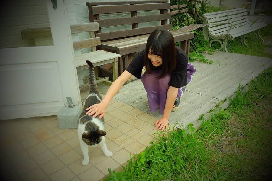 山田南実さんのインスタグラム写真 - (山田南実Instagram)「. . 撮影の時にとても可愛い猫に会いました☺︎ .  #instagram #insta #instagood #animal #cat #catstagram #japanese #me #tokyo #girl #idol #pimms #ピムス #猫」7月23日 21時39分 - 373_yamada