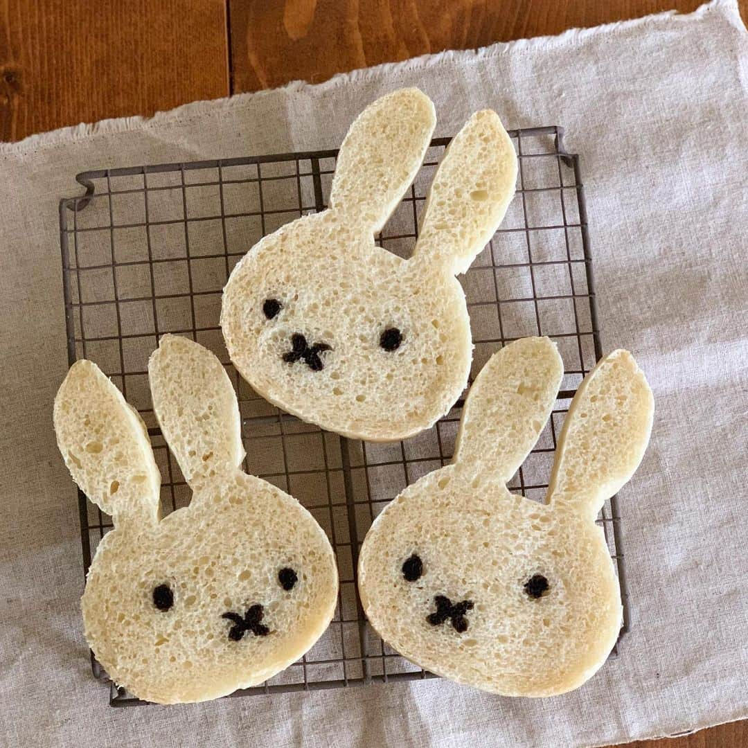 Ranさんのインスタグラム写真 - (RanInstagram)「. . #イラストパン #Miffy . . 新しく買った電動パン切りナイフの切れ味が凄くて、 かなり気に入ってしまいました！ 私の七つ道具の1つとして、これから大活躍の予感✨ 明日も仕事場へ持って行きたいと思います😎 . . Miffy bread 🐰🍞 . . . . #bread #kawaii #kawaiifood #rabbit🐰 #japan #japane #japanesefood #breadclass #baker #bakery #パン #手作りパン #食パン #手作り食パン #うさぎパン #ミッフィー #うさこちゃん #ミルクパン #コッタ #キャラパン #キャラフード  #朝ごパン #女の子ママ #こどもごはん #パン教室 #konel #良い買い物ができました」7月23日 21時53分 - konel_bread