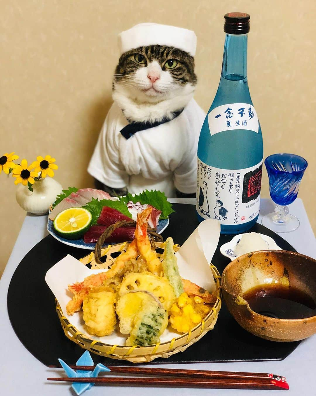 マロさんのインスタグラム写真 - (マロInstagram)「天ぷらの日🍤  SWIPE▶️ 7月23日が1年で最も暑くなる「大暑」にあたることから、夏の暑さにバテない為に天麩羅を食べて元気に過ごそうという意味で「天麩羅の日」とされているそうです。 July 23 is the day of Tempura in Japan. ☆ いつもコメントありがとうございます😸🙏💕 返信出来なくてすみません🙇‍♀️ 全て拝見しています🐾 ☆ Thank you for your kind comments😸🙏💕 I'm sorry that I couldn't reply. ☆ #cat#cats#catsofinstagram#😻 #food#japanesefood#tempura  #sake#japaneseculture#ねこ#猫 #にゃんすたぐらむ#ふわもこ部 #ねこ部#今日は何の日#天ぷらの日  #大暑#日本酒#料理#和食#板前」7月23日 22時03分 - rinne172