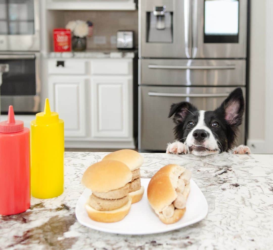 Jazzy Cooper Fostersさんのインスタグラム写真 - (Jazzy Cooper FostersInstagram)「Everyday is a BBQ day in Texas. Hot weenie and duck duck patties on toasted buns. 🌭🍔🐶 @stellaandchewys #wildweeniess #sponsored」7月23日 22時06分 - bordernerd