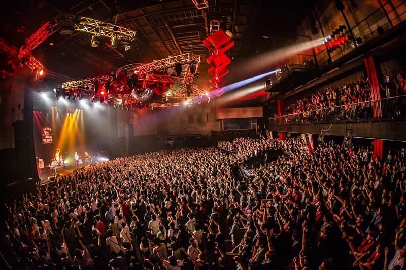 のインスタグラム：「新木場STUDIO COAST 『ライブナタリー201907』  w）ザ・クロマニヨンズ  新木場のあなたにびっくらぶっ！！🦍🦍🦍🦍 photo by @cazrowAoki」