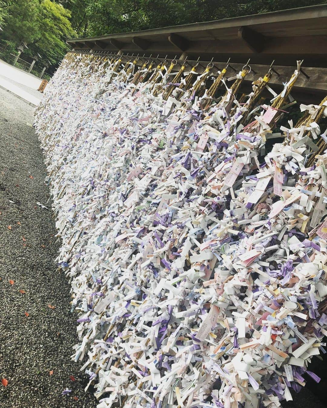 SHOCK EYEさんのインスタグラム写真 - (SHOCK EYEInstagram)「息子２人を連れて、神奈川にある寒川神社に行ってきたよ😊 ずっと行きたかった場所で、テンション上がりまくり✨✨✨ 今まで、数多くの神社を訪れてきたけど、こんな立派な神社は、そうそうない。 神門をくぐると、一面に綺麗な石畳が広がっていて、奥に立派な本殿。 その入り口を守る二頭の狛犬も、とにかく大きかった😳 日本で唯一の八方除の神社。 四方八方からの災いをよけ、幸運を授けてくれると言われているとても格式の高い寒川神社。パワースポットとしても有名なので、パワーを貰いに是非行ってほしいな✨ : I took my two sons to Samukawa Shrine in Kanagawa.  I was so excited since I always wanted to visit here for a long time.  I’ve visited so many shrines so far, and definitely this is one of the most outstanding shrine.  After the shrine gate, there are a beautiful cobblestone path and you will see the splendid main hall.  A pair of Foo Dog( guardian dogs statue) are so big. “Happo-yoke” refers to divine of this shrine which is only one in Japan.  Samukawa shrine is highly renowned as bringing  better fortune through removal of misfortune and disaster from all directions.  It’s really worth it to visit and get a lot of spiritual energy!  #神社 #寒川神社 #パワースポット #八方除け #shockeye #shrine #shintoshrine #samukawashrine #powerspot #spiritualplace #japanguide #spiritualenergy」7月23日 23時09分 - shockeye_official