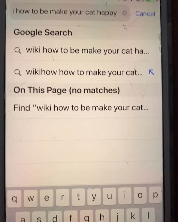 Tinaのインスタグラム：「How to make Wheezy happy 😹  box✅  head scritches ✅ p.s. my 12 year old niece made this #TikTok video possible 😅@alex_f.24」