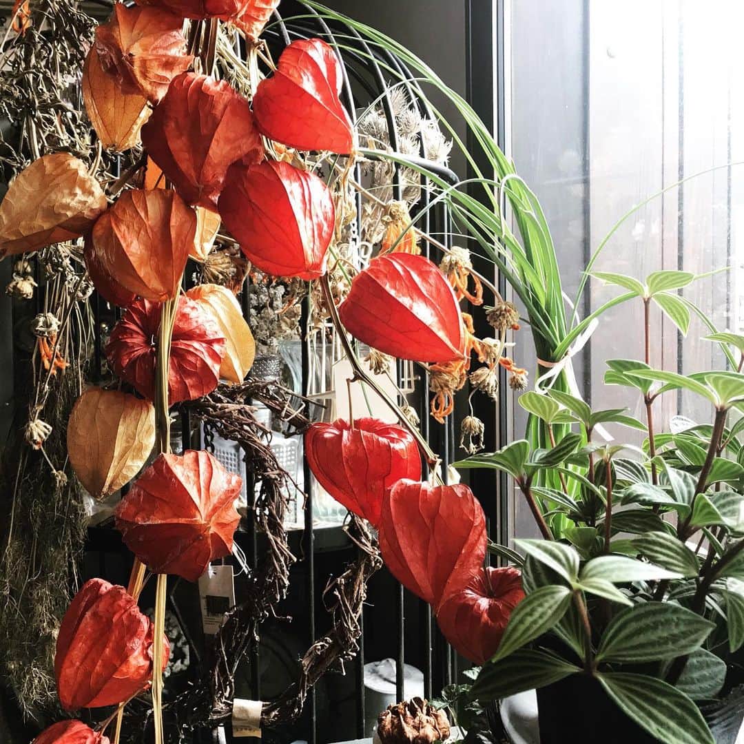 MILLE ECLAT.のグルメインスタ