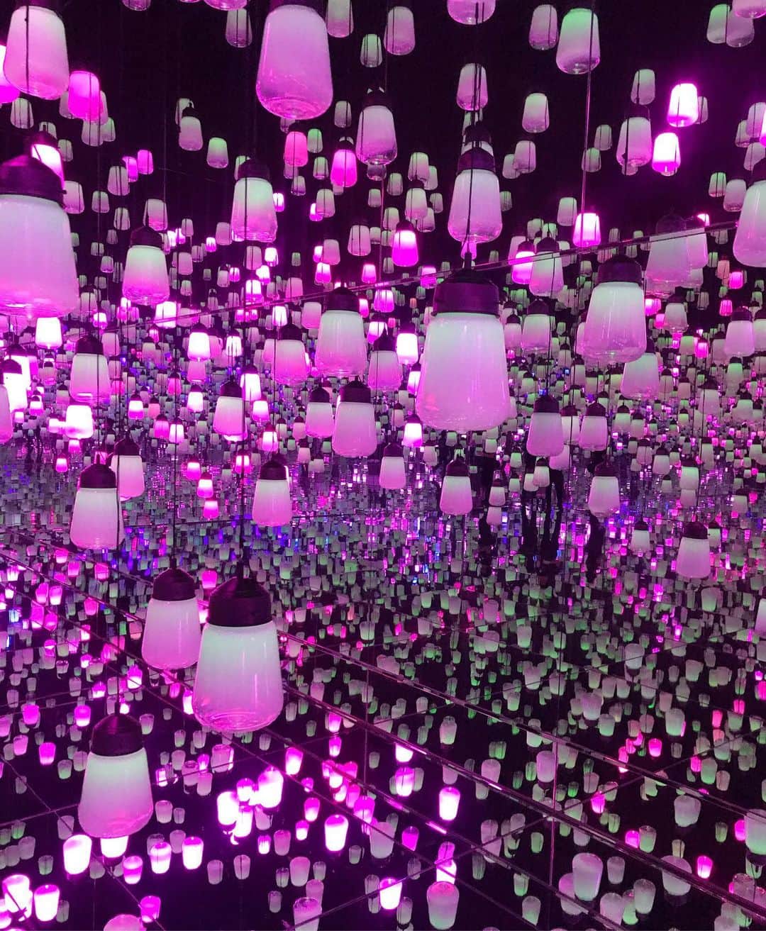 西口真央のインスタグラム：「team Lab🌟 . . #teamlab」