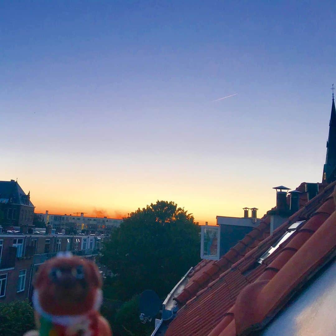 ころさんのインスタグラム写真 - (ころInstagram)「ころツーリスト in オランダ(デン・ハーグ)  夕日があまりに美しく✨✨ 泊まってる宿の屋根裏部屋から屋根に乗り出しちゃったころ‼️ ． ころの他の写真を見たい方はこちらから！  @koro.dottokoi .  #ころツーリスト #旅 #旅日記 #旅スタグラム #旅すたぐらむ #トラベラー #旅に出たい #旅の記録 #旅好き #旅写真 #旅行好き #旅したくなるフォト #旅フォト #マイトリ #旅行大好き #わんこ #ぬいぐるみ #ぬいどり #ぬい撮り写真部 #マイトリップ #旅の思い出 #旅の思い出 #ぬい撮り #ぬい撮りさんと繋がりたい #ぬいすたぐらむ」7月24日 9時28分 - koro.dottokoi