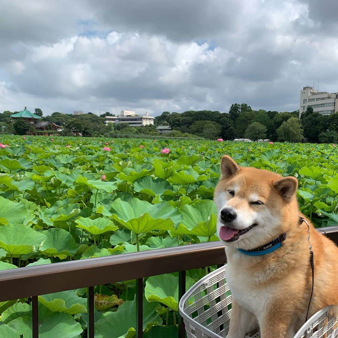 まる（まるたろう）のインスタグラム