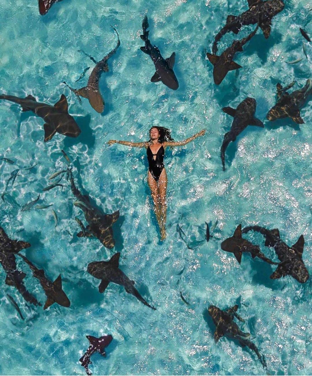 Earth Picsさんのインスタグラム写真 - (Earth PicsInstagram)「Swimming with sharks 🦈 in the Bahamas 🇧🇸 would you dare? Tag the person you would do this with. Photo by @federicadelsale . . . . . . . #earthpix  #wildlifephotography  #photography  #earth  #travel  #animals  #nature  #naturephotography  #awesome_earthpix #travelblog, #travels, #traveladdict, #travellife, #travelphoto, #travelpics, #traveldiaries, #travelbug, #travelawesome, #travelpic, #travelers, #travelgirl, #traveldiary, #traveldeeper, #travellingthroughtheworld, #travellers, #travelmore,#traveller, #travellersclub,」7月24日 1時40分 - earthpix