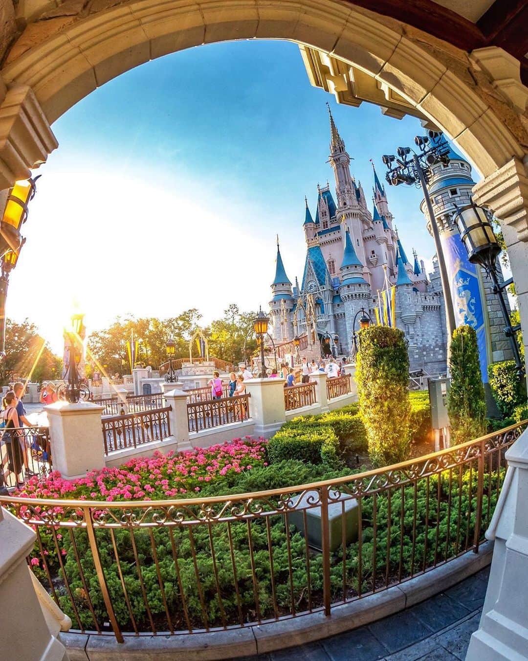 Walt Disney Worldのインスタグラム：「There’s nothing like a Castle shot to brighten up your week! 🏰😍#WaltDisneyWorld #MagicKingdom (📷: @disney_nuts)」