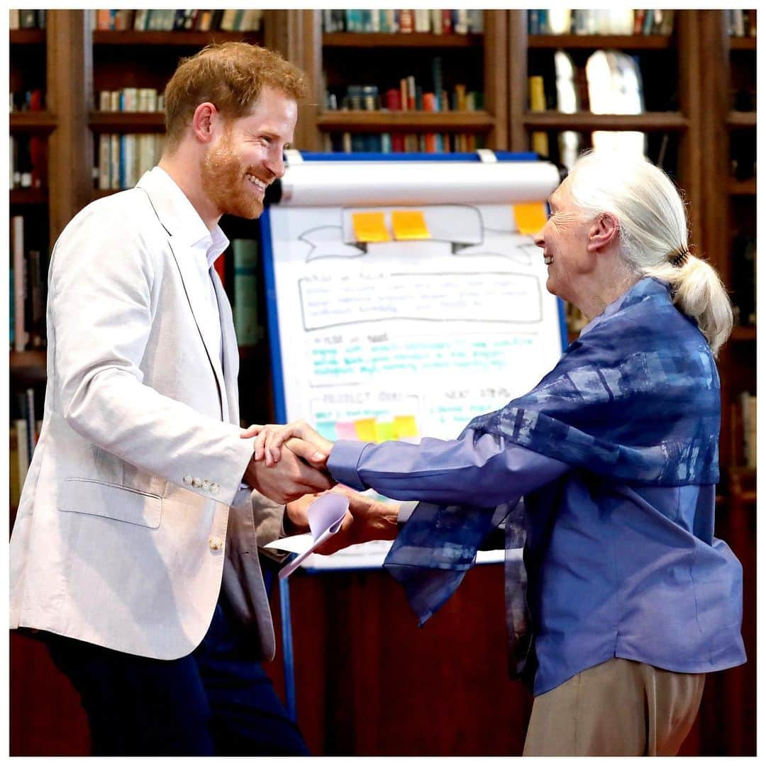 英ヘンリー王子夫妻さんのインスタグラム写真 - (英ヘンリー王子夫妻Instagram)「Today, The Duke of Sussex met with young people doing ground-breaking work in their communities as part of Dr. Jane Goodall’s Roots & Shoots Global Leadership gathering.  Started in 1991 by world renowned ethologist and primatologist Dr. Jane Goodall, with just 12 high school students in Tanzania, Roots & Shoots brings together young people from around the world who are leading projects in their communities to make the world a better place for people, animals and the environment. Today @RootsAndShoots has over 150,000 groups in over 50 countries - the collective power of these young people is limitless.  His Royal Highness believes that people are at the heart of conservation and sustainability and that in order to succeed we need an inclusive, community-centred approach. In his roles as President of The Queen’s Commonwealth Trust and Commonwealth Youth Ambassador, The Duke has met young people from around the world who are leading the way with creative sustainability solutions and campaigns – it is thanks to the creativity of young people’s minds, that we can turn the tide and preserve our planet for future generations.  After listening to presentations on endangered species, reducing plastic waste and embracing the wild, The Duke had the chance to thank all the young people taking part for their efforts and the difference they are making every single day.  As a continuation of our monthly social awareness approach, for July we turned our attention to following accounts featuring the environment. @JaneGoodallInst, founder of Roots & Shoots, is one of those selected profiles, having dedicated her life’s work to bettering our environment and world. To learn more, visit @RootsAndShoots.  Photo©️ PA images」7月24日 3時28分 - sussexroyal