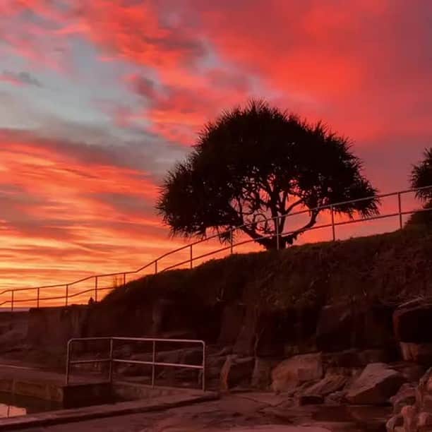 Australiaさんのインスタグラム動画 (AustraliaInstagram)「Yamba is red and ready to
