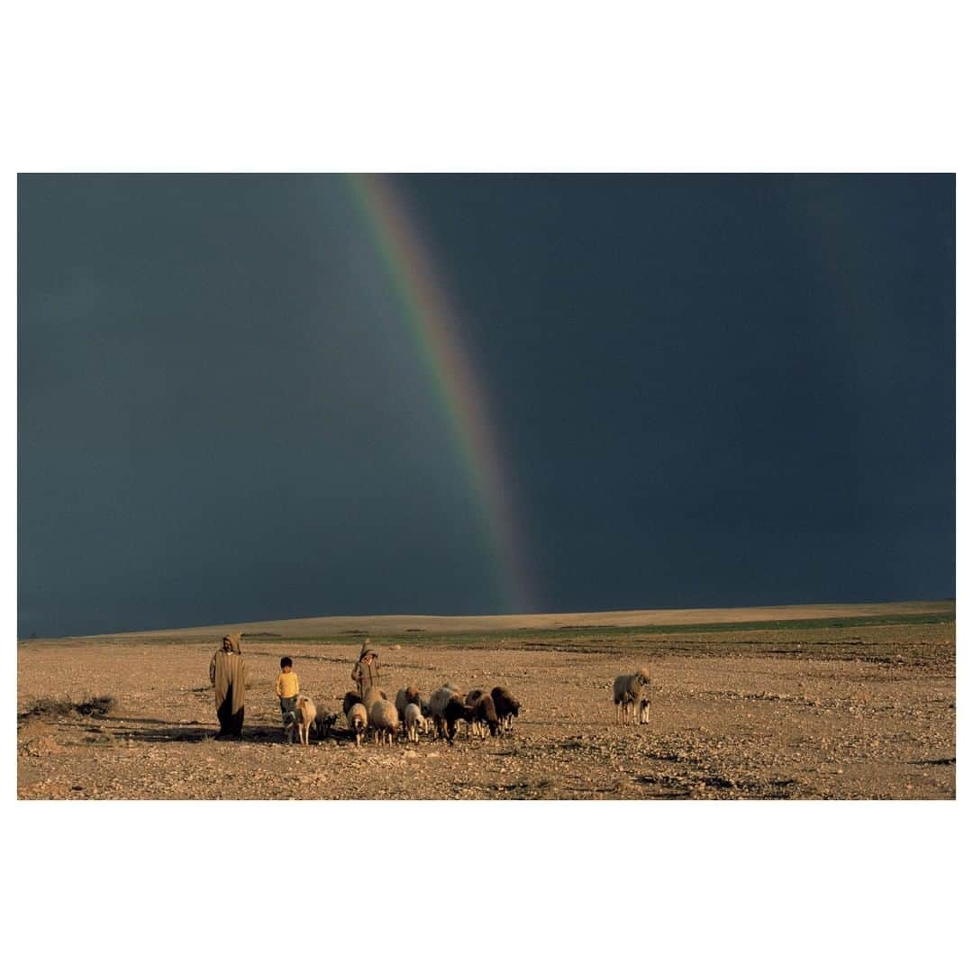 Magnum Photosさんのインスタグラム写真 - (Magnum PhotosInstagram)「#FromtheArchive: Near Essaouira, Morocco. 1990. . © #BrunoBarbey/#MagnumPhotos . #Essaouira #Morocco」7月24日 4時01分 - magnumphotos