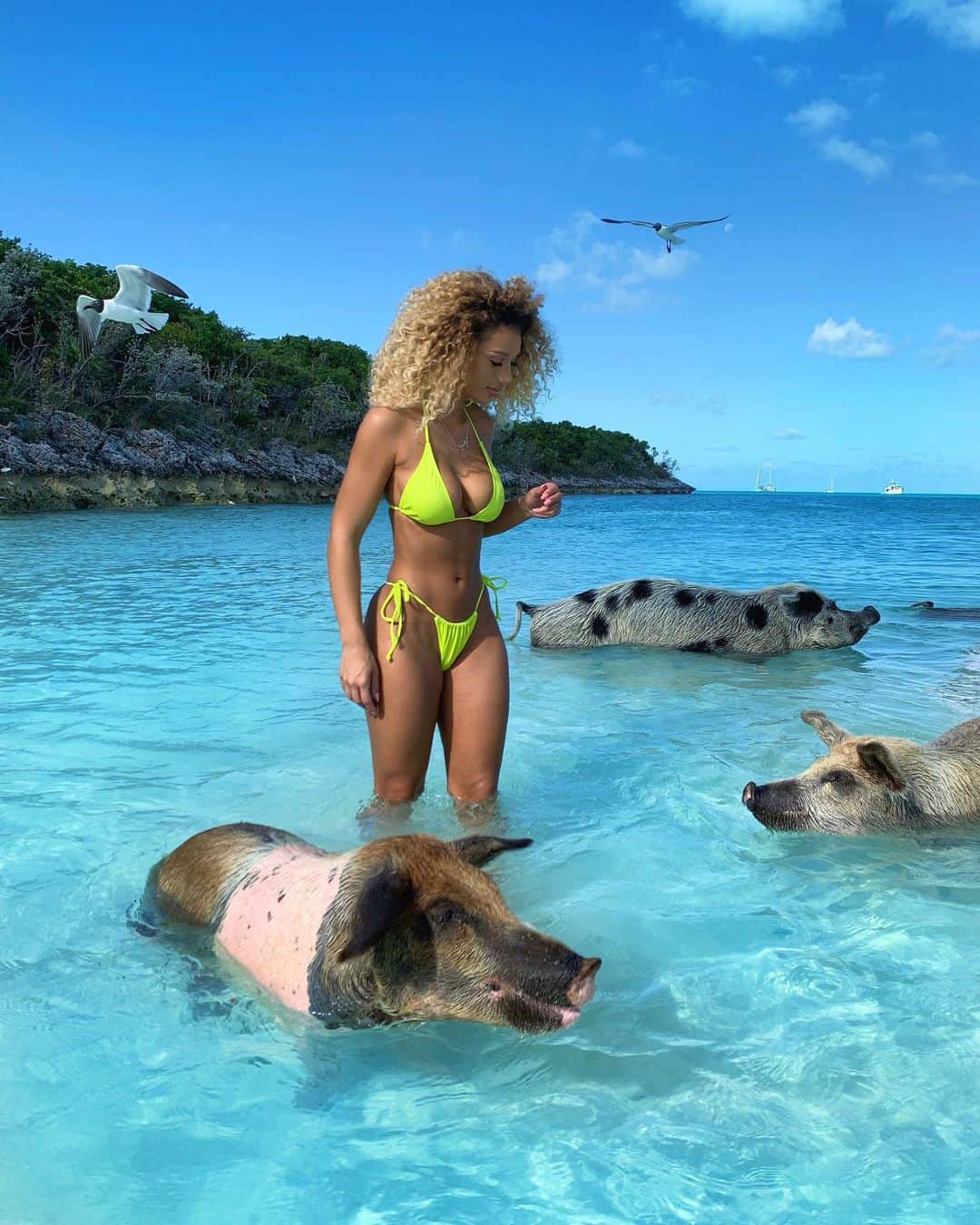 Jena Frumesさんのインスタグラム写真 - (Jena FrumesInstagram)「About to head to Miami❗️Who is there? Kinda wish I had time to veer off to the Bahamas a few days to see these 🐷 piggy’s🥰 🇧🇸 #Miami #Bahamas」7月24日 3時56分 - jenafrumes