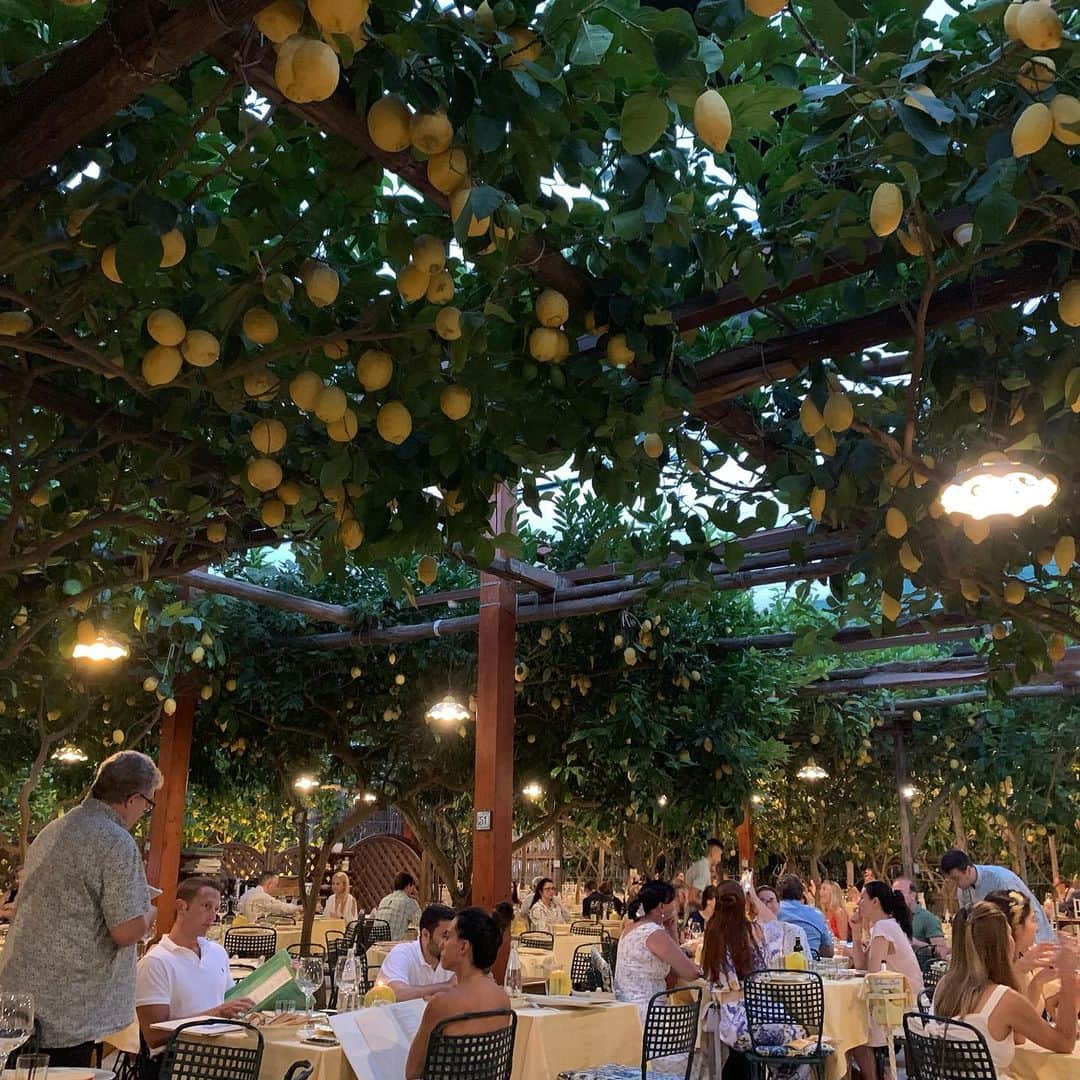 エリン・アンドリューズのインスタグラム：「🍋🍋🍋」