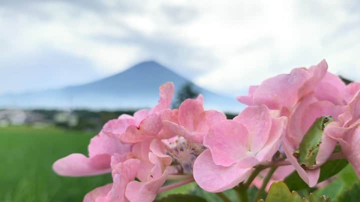 のインスタグラム：「. 🤩🤩“Shizuoka” prefecture in Japan is a place where you can see the most “phantastic” Mt. Fuji🗻 in the world.🤩 #富士山 #mtfuji #japan #shizuoka #fujinomiya  #phantastic420photography #mostphantasticmtfuji #selamatpagi  #goodmorning  #おはようございます 😇😇😇😇😇😇😇🗻😇😇 🐸今朝も突然現れてうっすら見えてました」