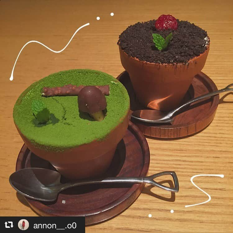 ハレノヒのインスタグラム：「#repost @annon__.o0 via @PhotoAroundApp ♡ ・ 植木ケーキ🌱 ・ ・ #ケーキ #スイーツ #新宿 #ハレノヒ #カフェ #cafe #新宿カフェ #インスタ映え #instagood @annon__.o0様 ご来店ありがとうこざいます😊 #フラワーポット#ここでしか食べられない#かわいい#🍰#スイーツ#ルミネエスト#東京#洋食カフェ#harenohi#cafe#cute#shinjuku#lumineest#flowerpot#cake#tokyo#sweets」