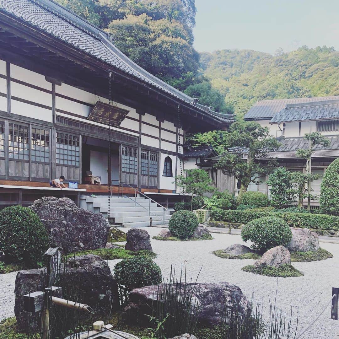 ひうらさとるのインスタグラム：「夏休みは毎朝、近所のお寺で座禅があるのでラジオ体操の後、子どもたちと。 朝の気持ちいい時間にお寺に入らせてもらうだけで、頭がしゃんとする感じ。 #禅 #座禅 #極楽寺」