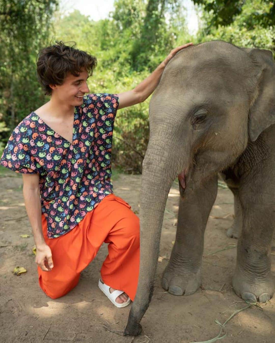 Christian Collinsさんのインスタグラム写真 - (Christian CollinsInstagram)「How in the worldd are elephants real! Blessed to spend time serving these magical creatures. Elephant numbers have dropped by 62% over the last decade. That’s messed up dude. 🐘 Need to protect these guys. What’s your favorite animal?」7月24日 8時49分 - christiancollins