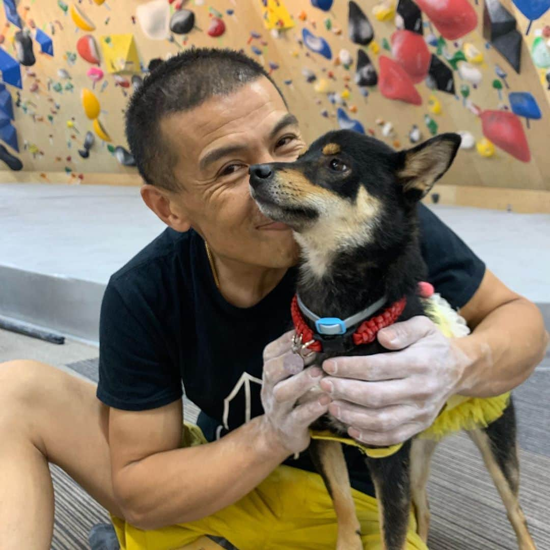 平山ユージさんのインスタグラム写真 - (平山ユージInstagram)「可愛い〜💕 癒し犬🐕 @boulderpark_basecamp」7月24日 8時45分 - yuji_hirayama_stonerider