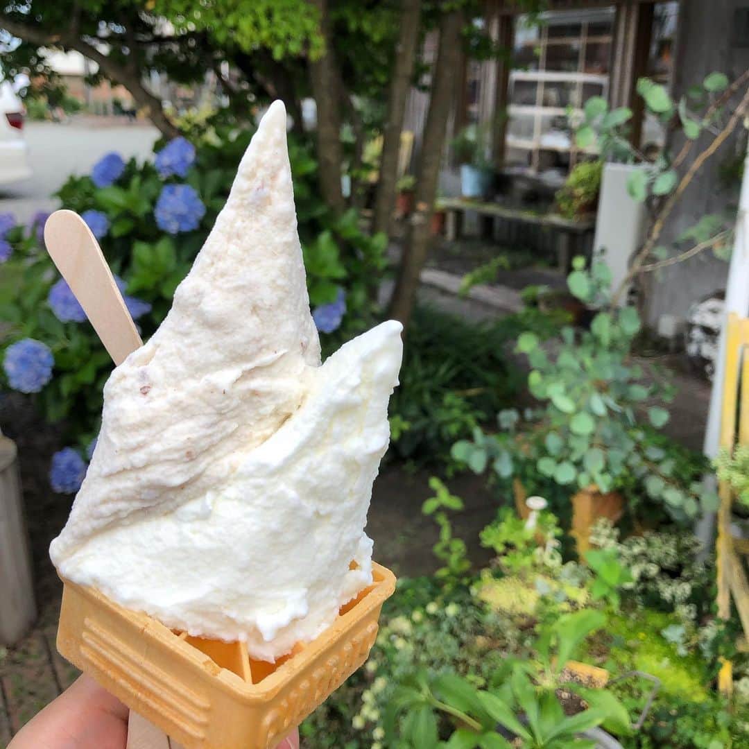 犬伏まりのグルメインスタ