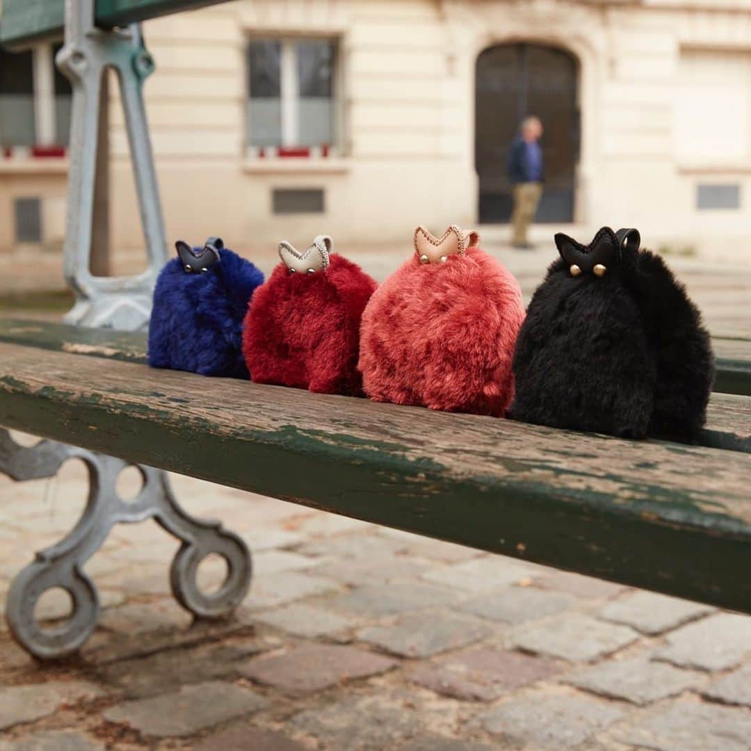 ジャマンピュエッシュのインスタグラム：「Cute fluffy cats from Jamin Puech Fall / Winter 2019 collection. #jaminpuech #fw19 #fashion #style」